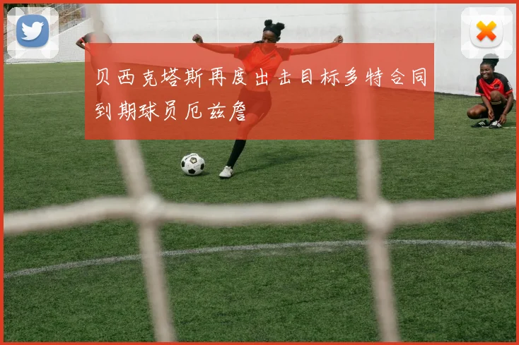 贝西克塔斯再度出击目标多特合同到期球员厄兹詹
